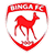 Binga Binga